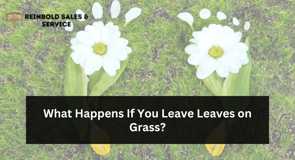 What Happens If You Leave Leaves on Grass?