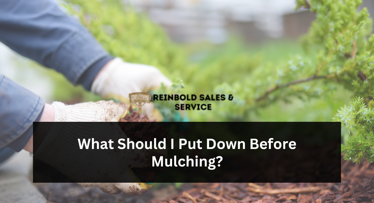 What Should I Put Down Before Mulching?