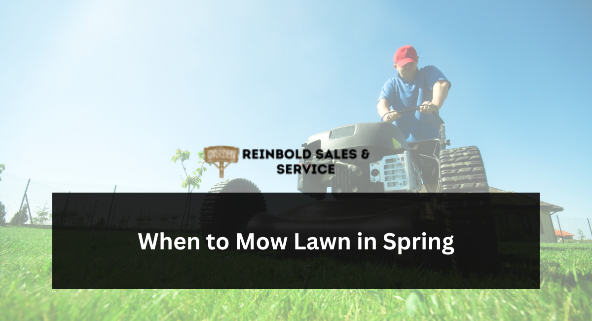 When to Mow Lawn in Spring