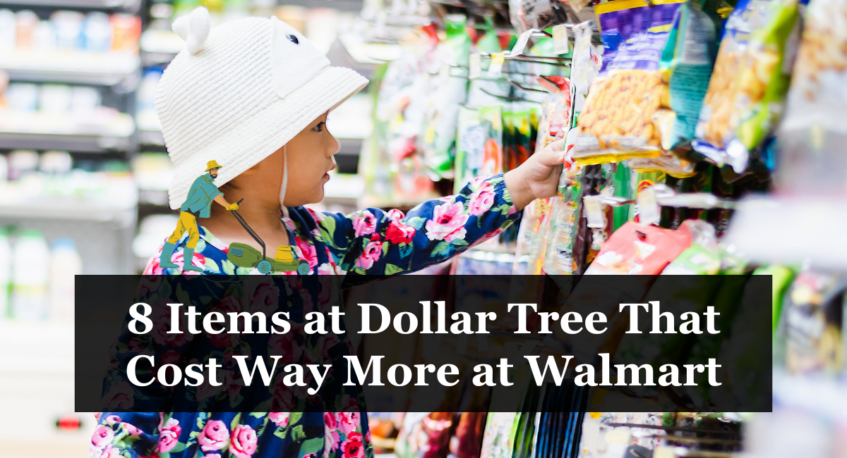 8 Items at Dollar Tree That Cost Way More at Walmart